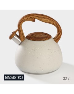 Чайник со свистком из нержавеющей стали Stone, 2,7 л, ручка soft-touch, индукция, цвет бежевый Magistro