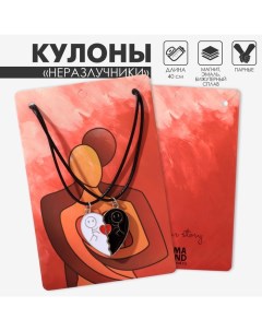 Кулоны «Неразлучники» на магните, парочка, цвет чёрно-белый, 40 см Tell your story