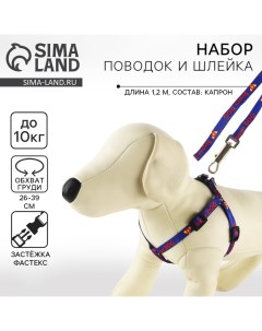 Комплект Super Dog, шлейка 26-39 см, поводок 120х1 см Пушистое счастье