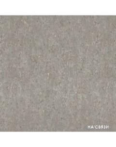 Виниловые обои Metal Spirit 977424 Rasch