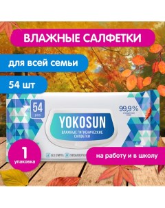 Антибактериальные влажные гигиенические салфетки 54.0 Yokosun