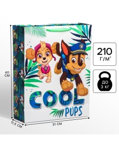 Пакет подарочный, 31х40х11.5 см, упаковка, Щенячий патруль Paw patrol