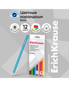 Карандаши 12 цветов,, пластик, шестигранные, 2,6 мм грифель, картонная упаковка, европодвес Erichkrause