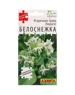 Семена Огуречная трава "Белоснежка", ц/п, 0,3 г Агрофирма аэлита