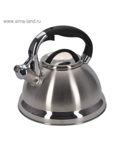 Чайник Tea, со свистком, 2.6 л Regent inox