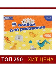 Альбом для рисования А4, 48 листов на гребне, обложка мелованный картон, блок 100 г/м? Calligrata