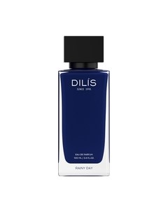 Парфюмерная вода Day&Night Rainy Day Dilis parfum