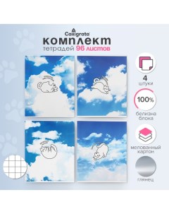 Комплект тетрадей из 4 штук, 96 листов в клетку "Коты в небе", картонная обложка, глянцевая ламинация, блок офсет Calligrata