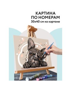 Картина по номерам на картоне «Французский бульдог», 30×40 см, с акриловыми красками и кистями Три совы