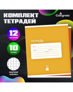 Комплект тетрадей из 10 штук, 12 листов в крупную клетку "Однотонная Классика Intensive", обложка ме Calligrata