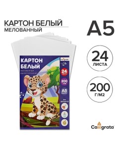 Картон белый А5, 24 листа, мелованный, плотность 200 г/м2, в папке Calligrata