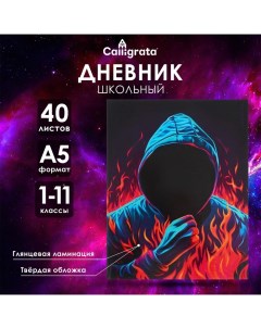 Дневник универсальный для 1-11 классов "Аноним", твёрдая обложка, глянцевая ламинация, 40 листов Calligrata