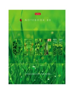 Бизнес-блокнот А5, 80 листов "Гармония цвета", твёрдая обложка, 5-цветный блок Hatber