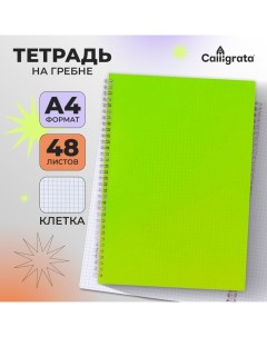 Тетрадь на гребне A4 48 листов в клетку Салатовая, пластиковая обложка, блок офсет Calligrata