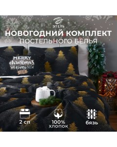 Постельное бельё "" 2 сп Golden Christmas 175х215 см, 200х220 см, 70х70 см - 2 шт, бязь Этель