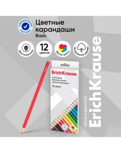 Карандаши 12 цветов Basic, дерево, шестигранные, 2.6 мм грифель, картонная упаковка, европодвес Erichkrause