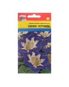 Семена цветов Глоксиния "Импресс Синие чернила", 0,003 г. в амп. Урожай удачи