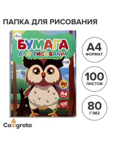 Бумага для рисования А4, 100 листов "Совенок", 80г/м2, в папке Calligrata