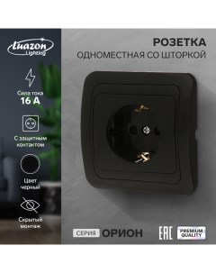 Розетка одноместная со шторкой "Орион", 16 А, скрытая, с з/к, черная Luazon lighting