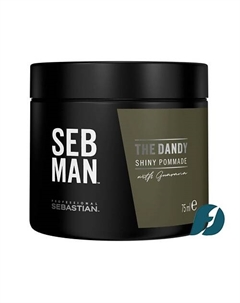 PROFESSIONAL Крем-воск для укладки волос легкой фиксации SEB MAN The Dandy Shiny Pommade 100.0 Sebastian