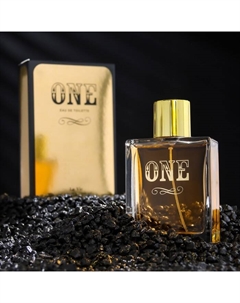 Туалетная вода мужская One, 100 мл Dilis parfum