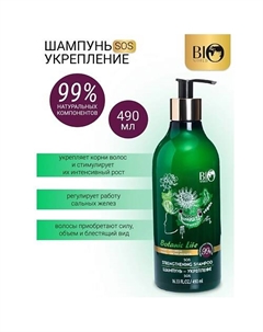 Шампунь-укрепление "Имбирь,красный женьшень" Botanic Life 490.0 Bioworld