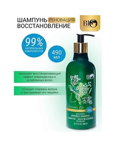 Шампунь-восстановление "Черный тмин, бесцветная хна" Botanic Life 490.0 Bioworld