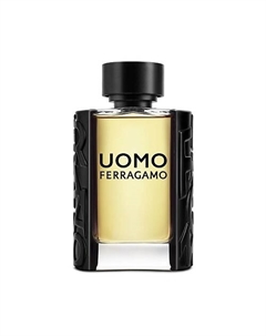 Туалетная вода Uomo 100 Ferragamo