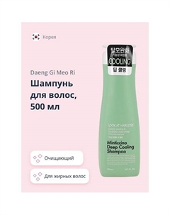 Шампунь для волос LOOK AT HAIR LOSS (для жирной кожи головы) 500.0 Daeng gi meo ri