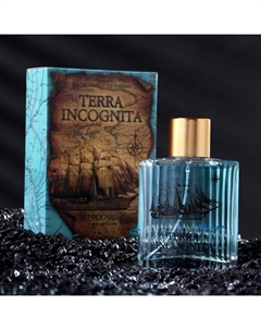 Туалетная вода мужская Terra Incognita Blue Lagoon, 100 мл Brocard parfums