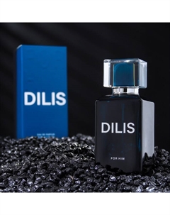 Парфюмерная вода мужская For Him, 80 мл Dilis parfum