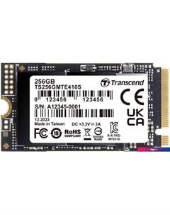 SSD 410S 256GB TS256GMTE410S Transcend