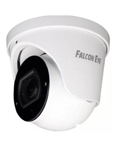 IP-камера FE-IPC-DV5-40pa Falcon eye