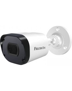 IP-камера FE-IPC-B2-30p Falcon eye