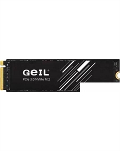 SSD P3L 512GB P3LFD16I512D Geil