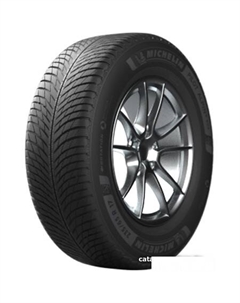 Автомобильные шины Pilot Alpin 5 SUV 275/45R20 110V Michelin