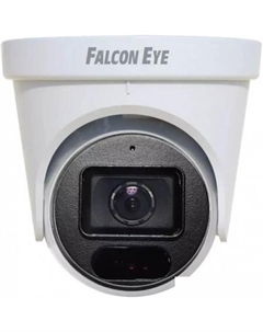 IP-камера FE-ID4-30 Falcon eye