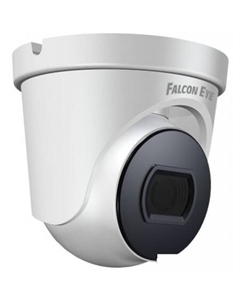 IP-камера FE-IPC-D2-30p Falcon eye