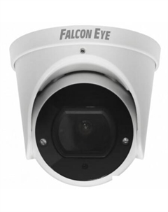 IP-камера FE-IPC-DV2-40pa Falcon eye