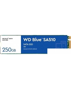 SSD Blue 250GB S250G3B0B Wd