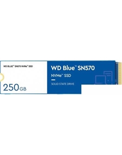 SSD Blue SN570 250GB S250G3B0C Wd