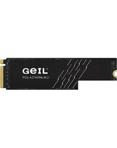 SSD P4A 512GB P4AAC16I512D Geil