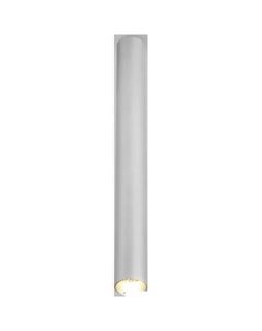 Точечный светильник 25030/LED 6W 4200K (серебро) Elektrostandard