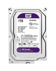 Жесткий диск Purple 1TB [10PURZ] Wd