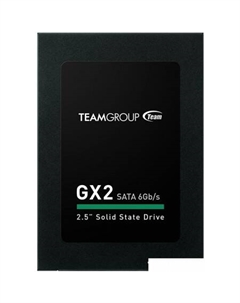 SSD GX2 256GB T253X2256G0C101 Team