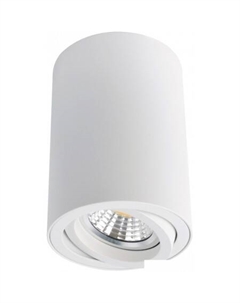 Точечный светильник Sentry A1560PL-1WH Arte lamp