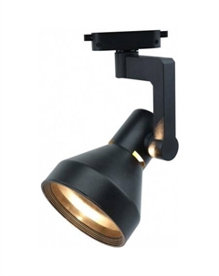 Точечный светильник Nido A5108PL-1BK Arte lamp