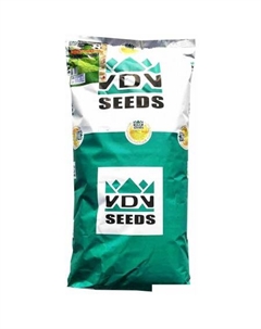 Семена Sport-кортт 15 кг Vdv seeds