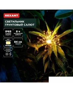 Садовый светильник Салют 602-2435 Rexant