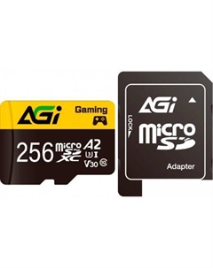 Карта памяти TF138 Supreme microSDXC 256GB 256GGSTF138 (с адаптером) Agi